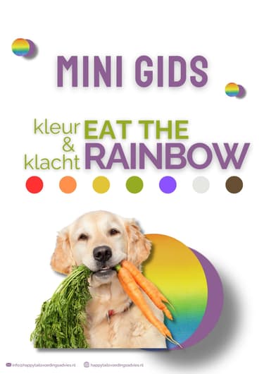 Voorblad mini gids kleur en klacht Eat the Rainbow